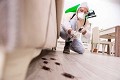 Derby City Termite Experts